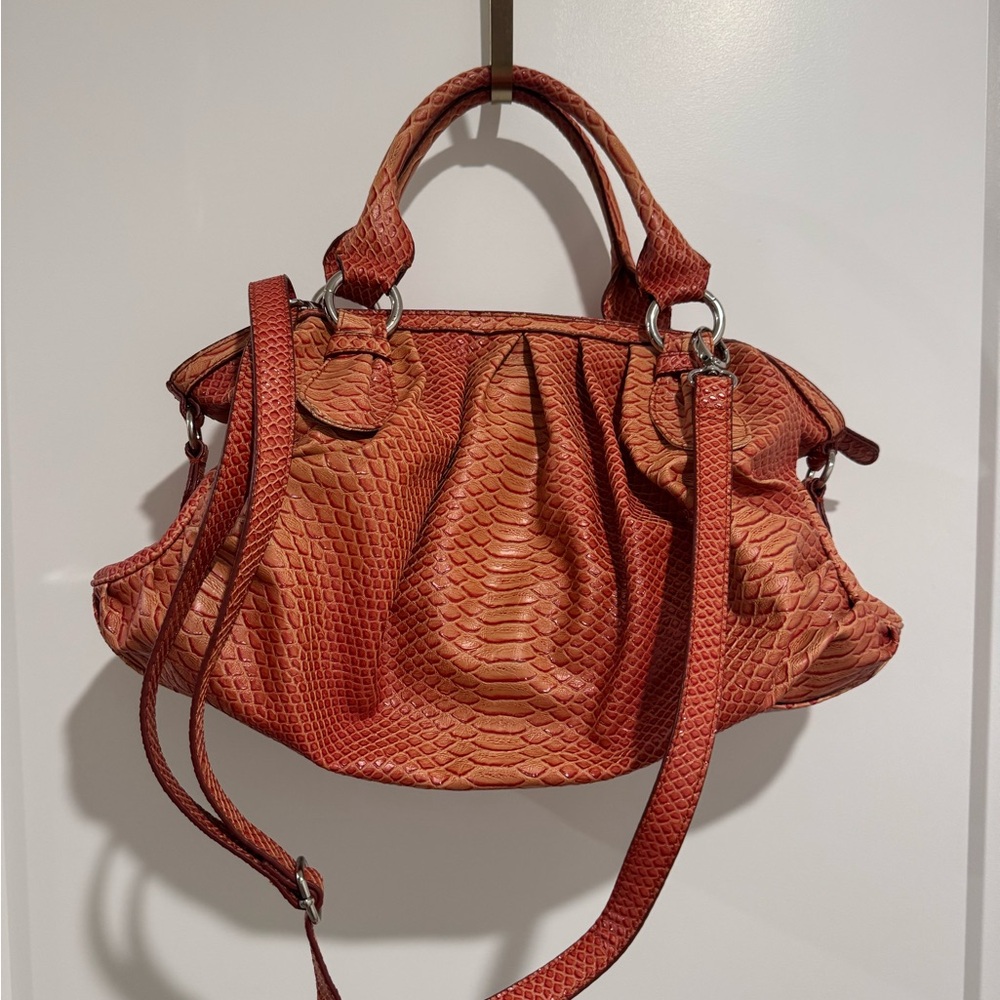 Absolutely Stunning Spacious Bag